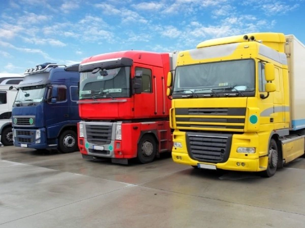 İstanbul Dikili Nakliye